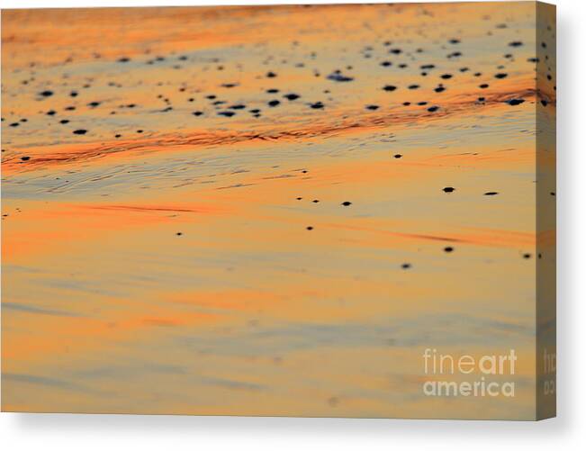 Landscapes Canvas Print featuring the photograph Lines by John F Tsumas