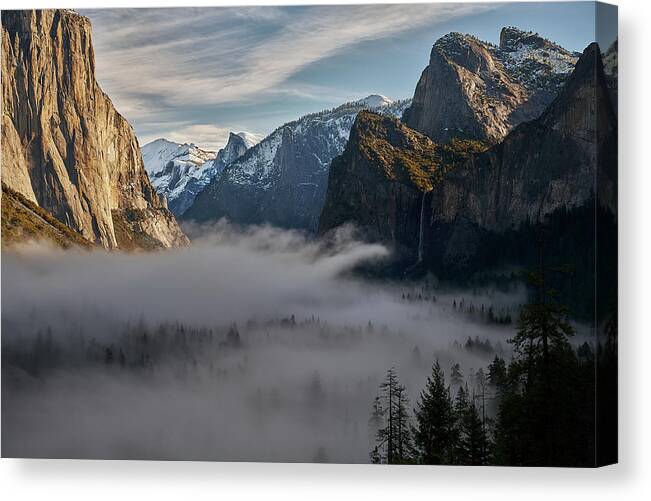 Forest Canvas Print featuring the photograph Yosemite Valley in View by Jon Glaser