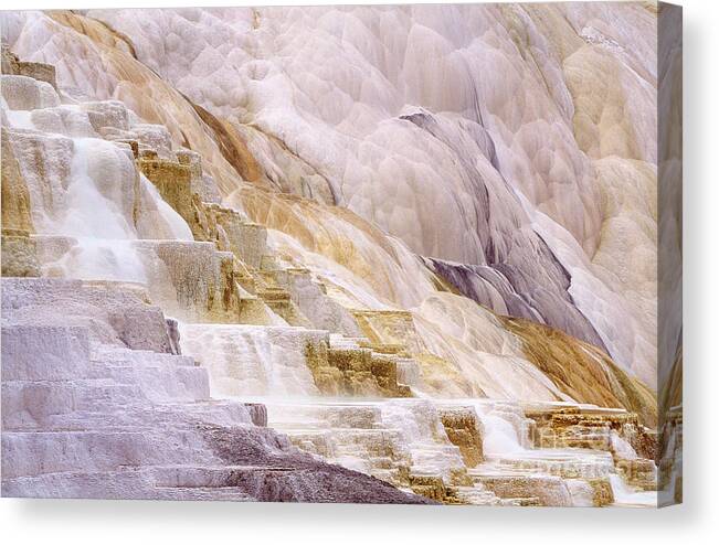 Dave Welling Canvas Print featuring the photograph Minerva Springs Yellowstone National Park Wyoming by Dave Welling