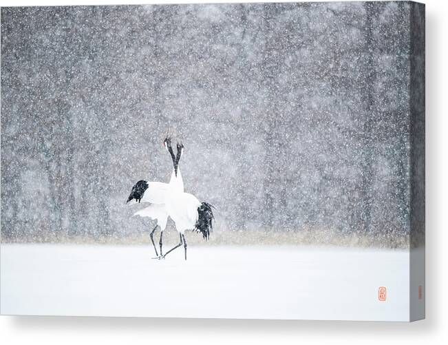 Snow Canvas Print featuring the photograph Tancho in snow #3 by Yoshiki Nakamura