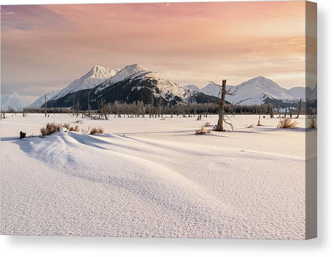 Alaska Puzzle Canvas Print featuring the photograph Alaska Winter Puzzle by Scott Slone