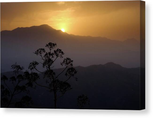 Dawn Canvas Print featuring the photograph Amanecer by Gary Browne