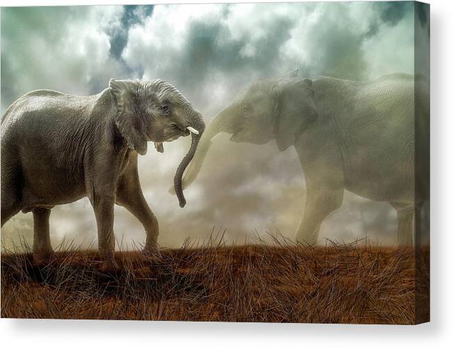 Elephant Canvas Print featuring the digital art An Elephant Never Forgets by Nicole Wilde