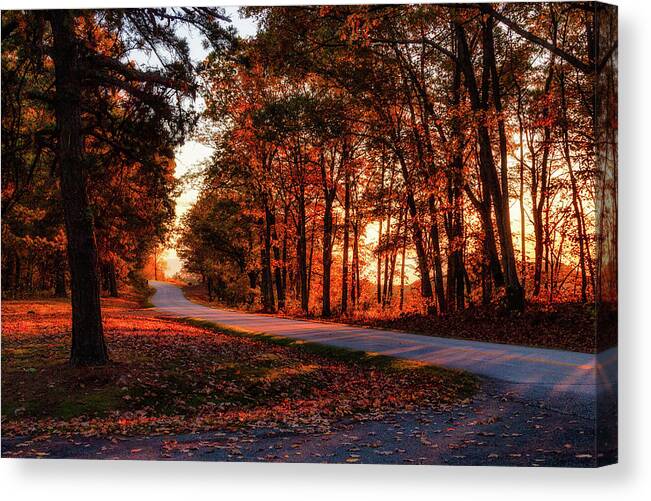 Fall Canvas Print featuring the photograph Autumn Sunset Through the Trees by Dan Carmichael