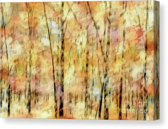 Autumn Canvas Print featuring the photograph Autumnal Abstraction by Benanne Stiens