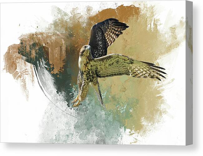 Red Tail Hawk Canvas Print featuring the photograph Ballet Dancer by Donna Kennedy