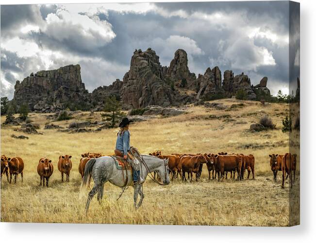 Horses Canvas Print featuring the photograph Before The Storm by Phyllis Burchett