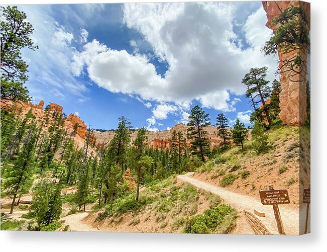 Bryce Canyon National Canvas Print featuring the photograph Bryce Canyon Hiking by Jessica Yurinko