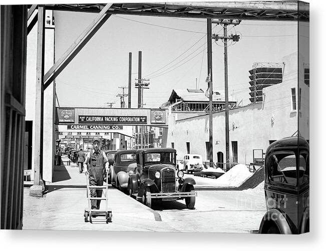 California Packing Canvas Print featuring the photograph California Packing Corporation, Plant 101, Del Monte Foods , Ca 1945 by Monterey County Historical Society