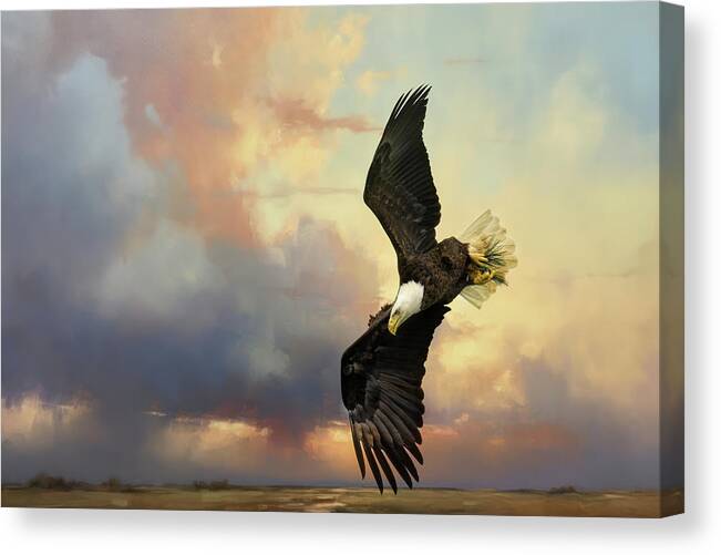 Bald Eagle Canvas Print featuring the photograph Coming Down To Earth by Jai Johnson