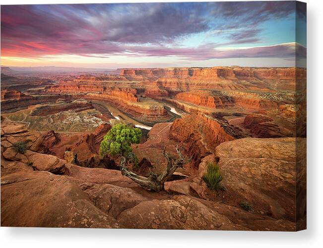 Moab Canvas Print featuring the photograph Dead Horse Point by Whit Richardson