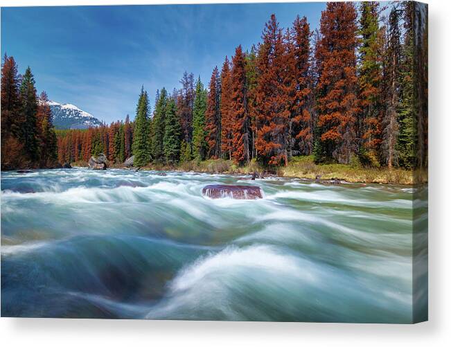 Blue Canvas Print featuring the photograph Down by the River by Rick Deacon