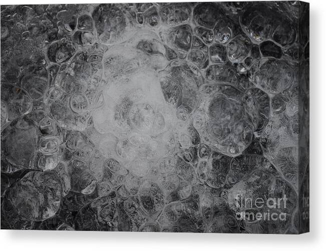 Ice Drops Canvas Print featuring the photograph Drops Of Ice by Fantasy Seasons