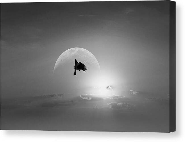 Planet Earth Canvas Print featuring the photograph Through Hardships To The Stars/ Black And White Spider Awards Winner 2020 by Aleksandrs Drozdovs