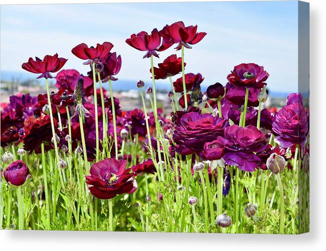 Flower Canvas Print featuring the photograph Purple Flowers by Bnte Creations