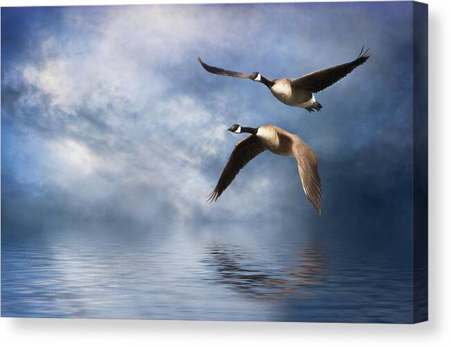 Geese Canvas Print featuring the digital art Flying Home by Nicole Wilde