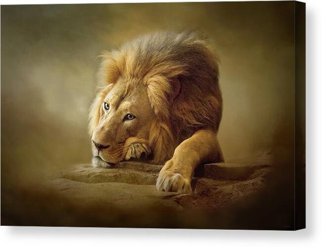 Lion Canvas Print featuring the digital art Gentle Soul by Nicole Wilde