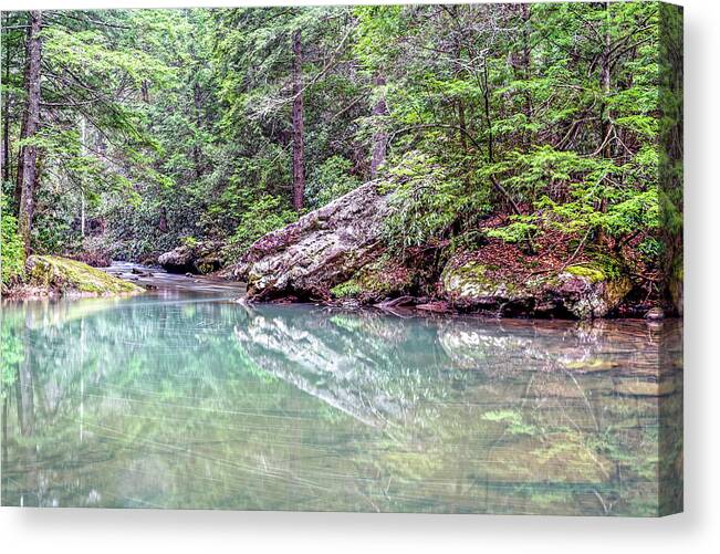 Fores Canvas Print featuring the photograph Tranquility by Ed Newell