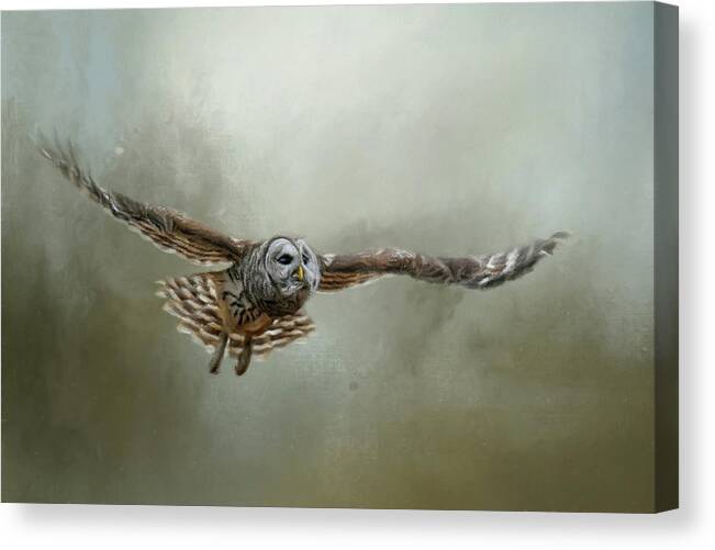Barred Owl Canvas Print featuring the painting Go Toward The Light by Jai Johnson