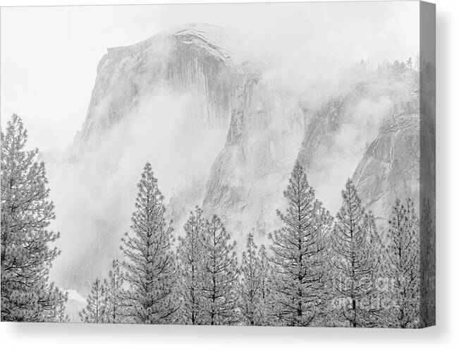 Yosemite Canvas Print featuring the photograph Half Dome Fogged In by Sharon Seaward