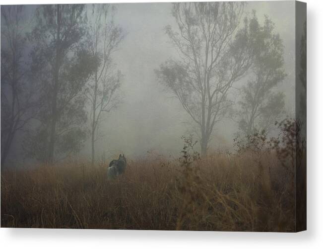 Fog Canvas Print featuring the digital art Into the Mist by Nicole Wilde