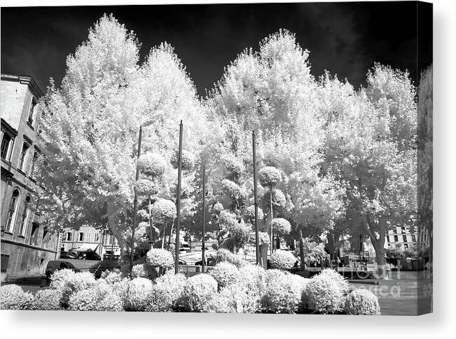 Marseille Nature Canvas Print featuring the photograph Marseille Nature Infrared by John Rizzuto