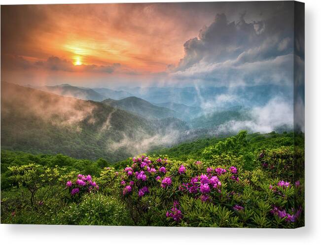 North Carolina Nc Blue Ridge Parkway Spring Flowers Appalachian Mountains Spring Flowers Craggy Gardens Asheville Western Nc Rhododendron Sunset Fog Clouds Dave Allen Landscape Photography Fine Art Smoky Mountains Blue Ridge Mountains Horizontal Sunrise Mountains Outdoor Nature Usa America Pink Purple Canvas Print featuring the photograph North Carolina Blue Ridge Parkway Spring Appalachian Mountains NC by Dave Allen