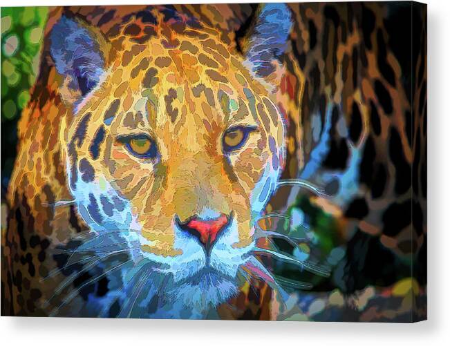 Nature Canvas Print featuring the photograph Panthera Pardus by Rick Deacon