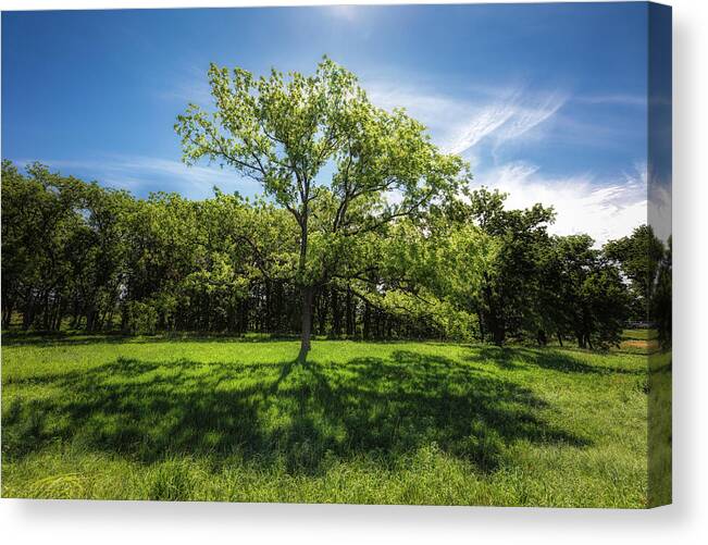 Blue Sky Canvas Print featuring the photograph Shadows And Shade by Scott Bean