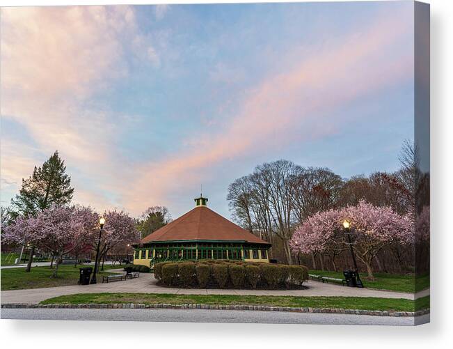 Cherry Blossoms Canvas Print featuring the photograph Slater Park 4-19-21-37 by Bryan Bzdula
