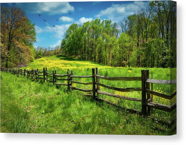 North Carolina Canvas Print featuring the photograph Spring Flowers and Blue Skies by Dan Carmichael