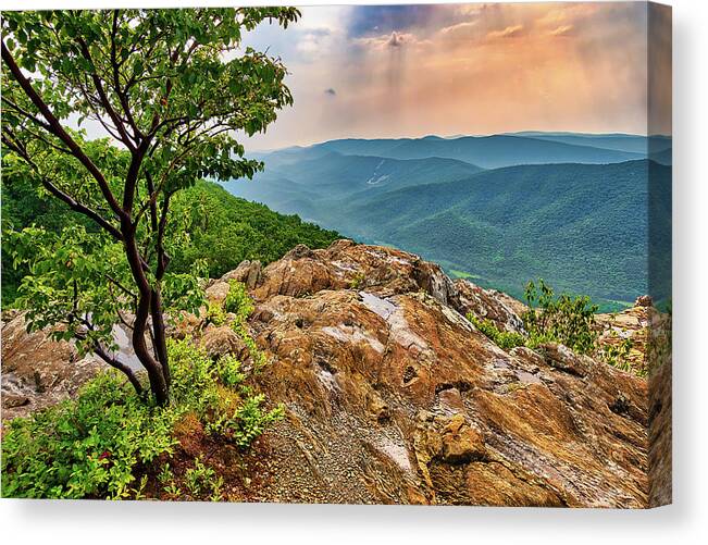 North Carolina Canvas Print featuring the photograph Streams from Heaven by Dan Carmichael