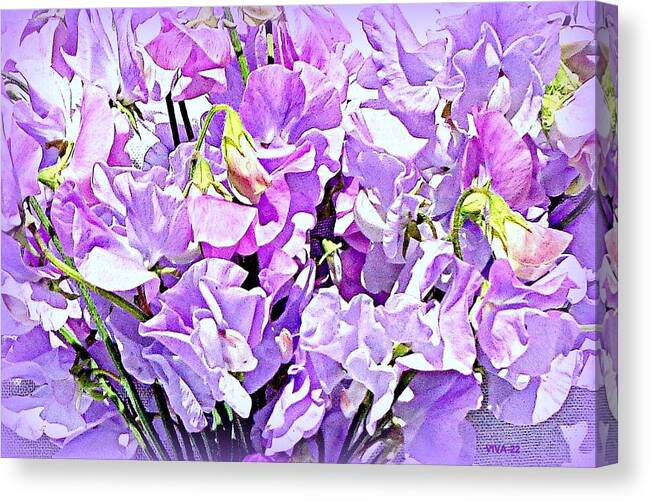 Sweetpeas Canvas Print featuring the photograph Sweetpeas-2 - AuNaturel by VIVA Anderson