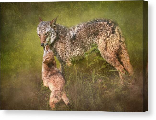 Coyote Canvas Print featuring the digital art Tender Moment by Nicole Wilde