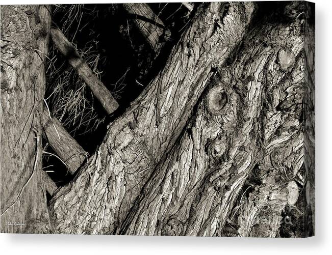  Canvas Print featuring the photograph Texture In All Directions by Blake Richards
