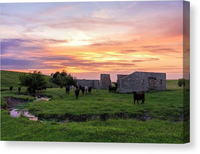 Fine Art America Canvas Print featuring the photograph The Evening Crew by Scott Bean