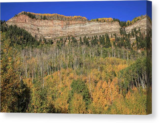 Silverton Canvas Print featuring the photograph Way Up There by Donna Kennedy