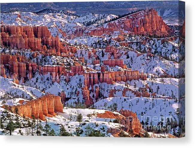 Dave Welling Canvas Print featuring the photograph Winter Sinking Ship And Hoodoos Bryce Canyon National Park by Dave Welling