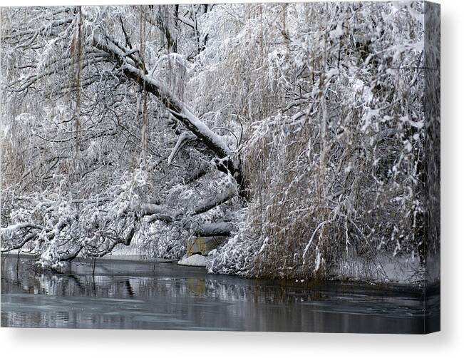 Milwaukee Canvas Print featuring the photograph Winter Trees by Deb Beausoleil