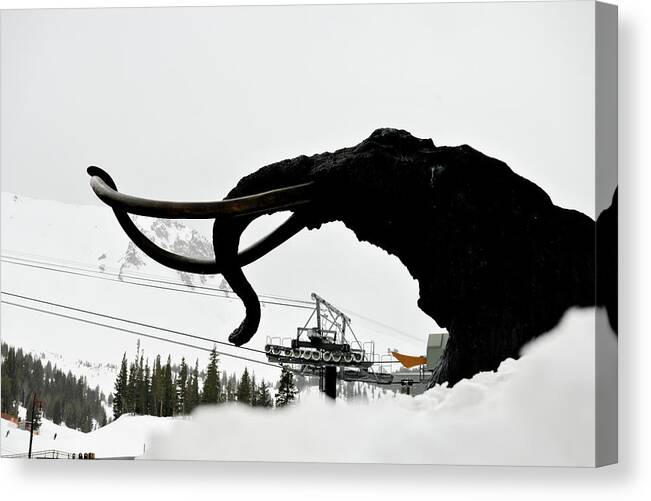 Woolly Canvas Print featuring the photograph Woolly in a White Out, Mammoth Mountain, Mammoth Lakes, California by Bonnie Colgan