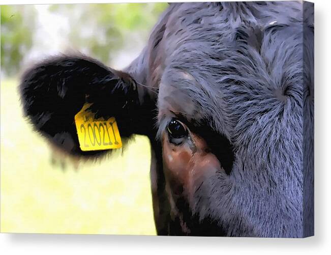 Animal Canvas Print featuring the mixed media Youngster by Abbie Shores