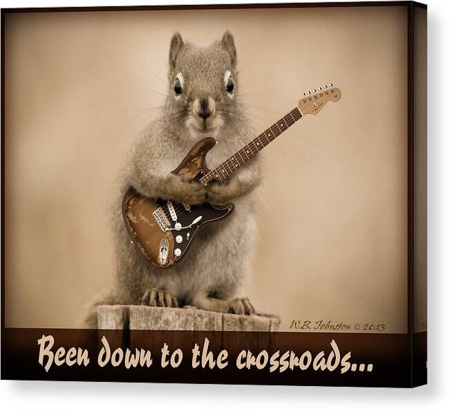 Squirrel Canvas Print featuring the photograph Crossroads by WB Johnston