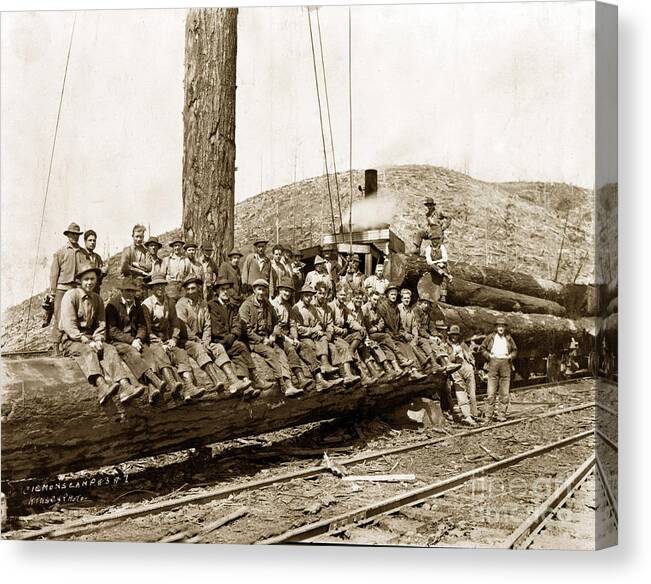 Clemons Logging Company Canvas Print featuring the photograph Clemons Logging Company camp Circa 1925 by Monterey County Historical Society