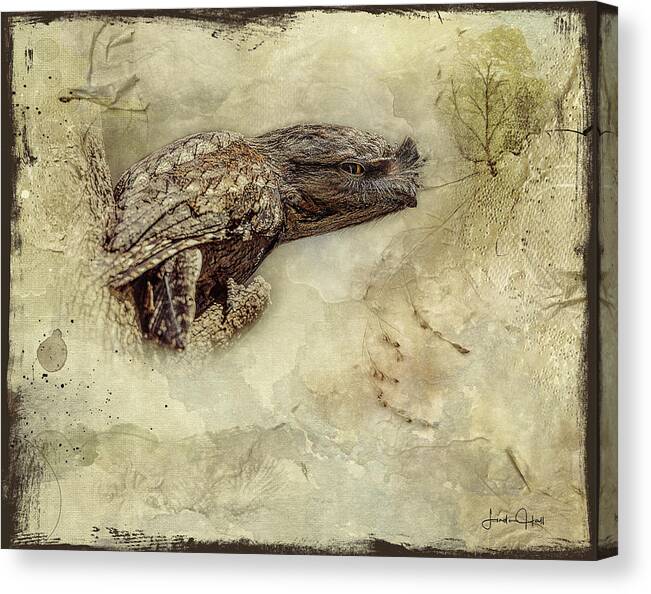 Tawny Frogmouth Canvas Print featuring the digital art Tawny Frogmouth by Linda Lee Hall