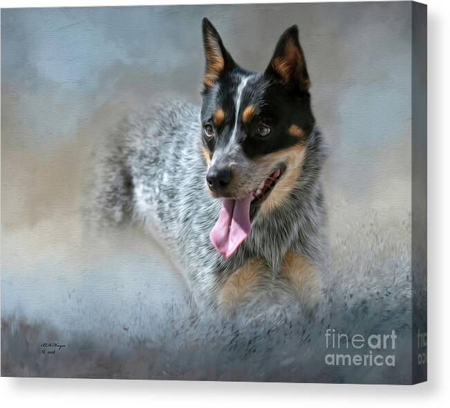 Dogs Canvas Print featuring the mixed media Cookie - A Blue Heeler by DB Hayes