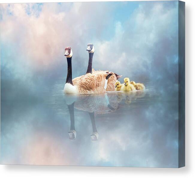 Swan Canvas Print featuring the digital art Family Cruise by Nicole Wilde