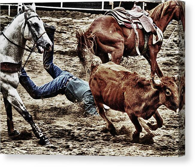 Bulldogger Canvas Print featuring the photograph Bulldogging Face First by D L McDowell-Hiss