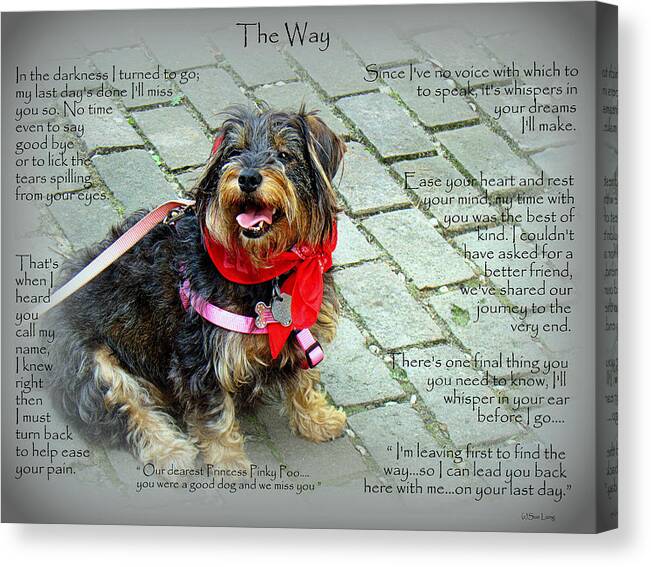 Quote Canvas Print featuring the photograph Custom Paw Print Pinky by Sue Long