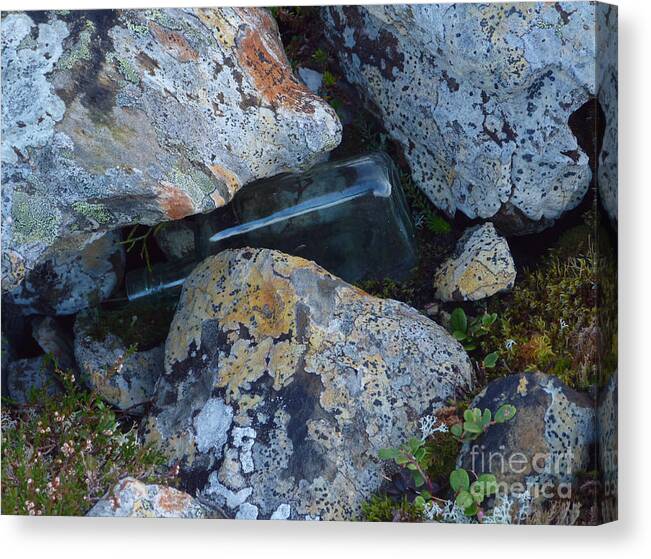 Rocks Canvas Print featuring the photograph Lichen Rocks and Bottle by Phil Banks