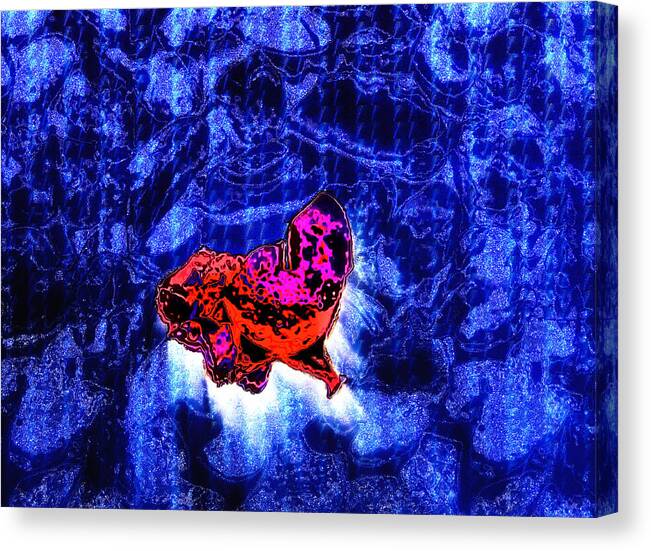 Object Canvas Print featuring the digital art Object of Curiosity by Kellice Swaggerty